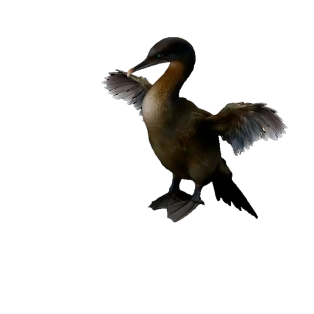 Flightless Cormorant - Galapagos 3D model, vytvořený pomocí AI