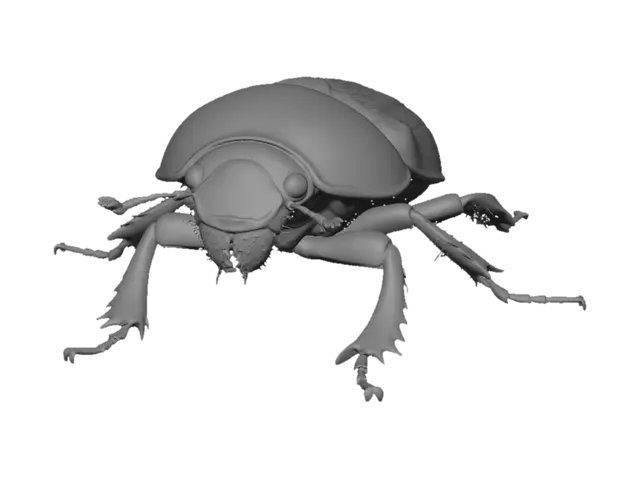 3D model for Obsidian Dung Beetle