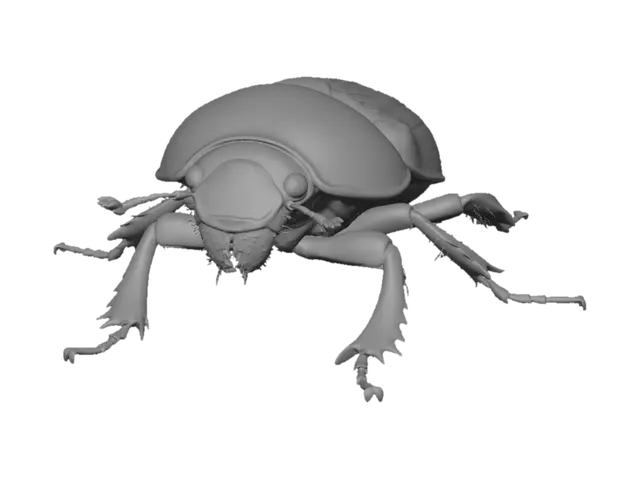 3D model for Obsidian Dung Beetle