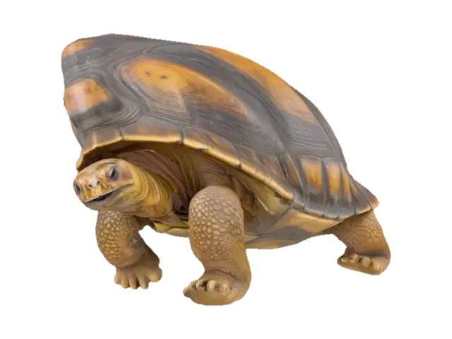 Galapagos tortoise 3D model, vytvořený pomocí AI