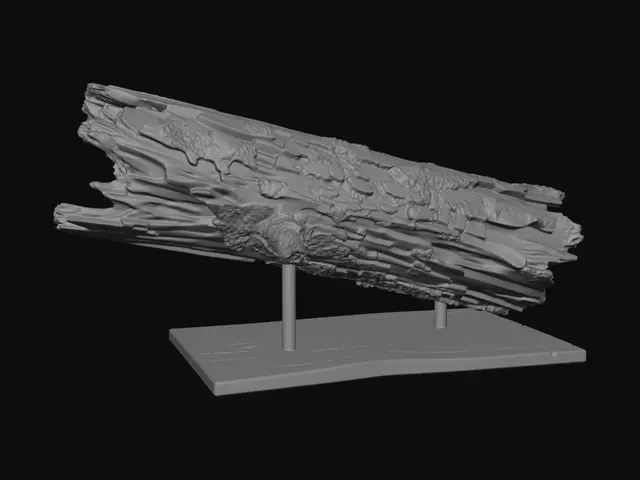 3D model for Weathered Log Fragment on Display