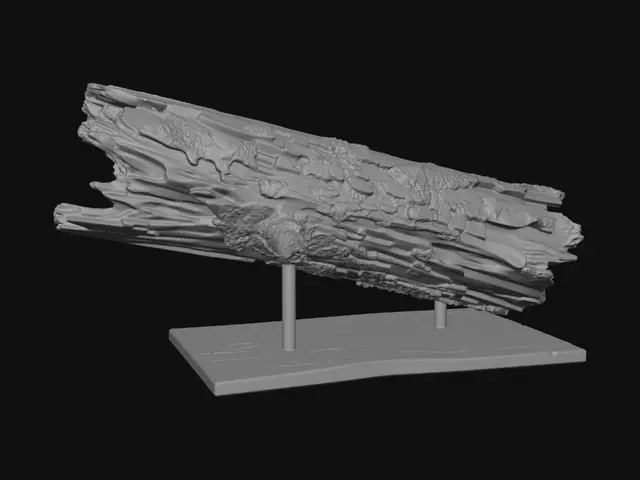 3D model for Weathered Log Fragment on Display