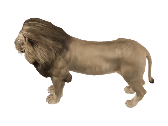3D model for Majestic Lion Portrait