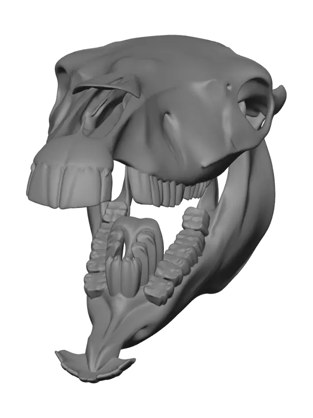 3D model for Low-Poly Horse Skull