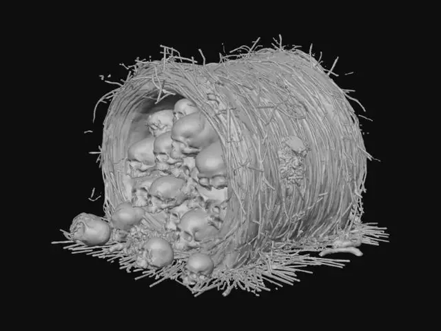 3D model for A bale of hay that has different size skulls in bedded in the bale.
