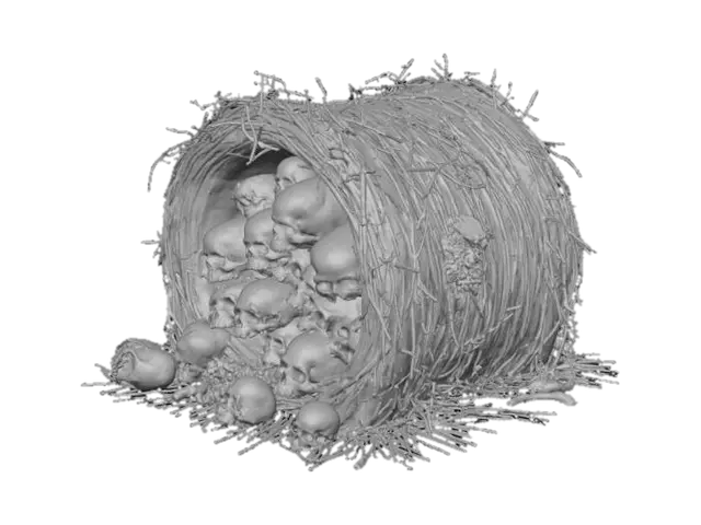 3D model for A bale of hay that has different size skulls in bedded in the bale.