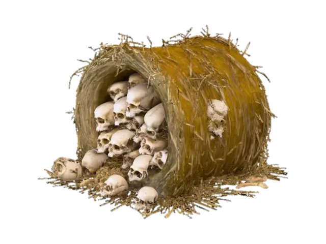 3D model for A bale of hay that has different size skulls in bedded in the bale.