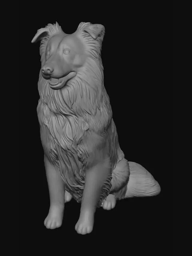 3D model for Smiling Border Collie