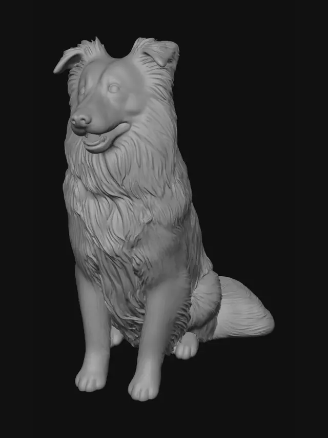 3D model for Smiling Border Collie