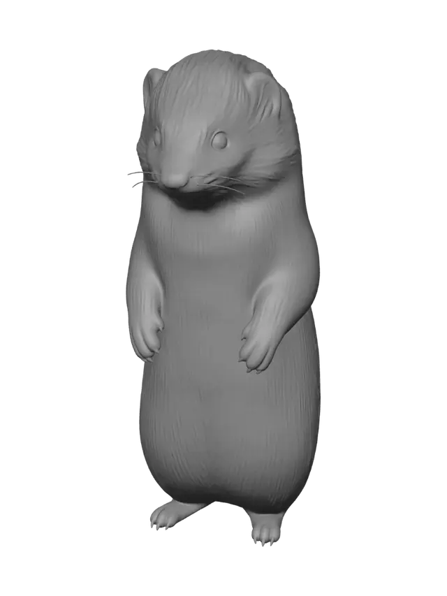 3D model for Snowy Ferret