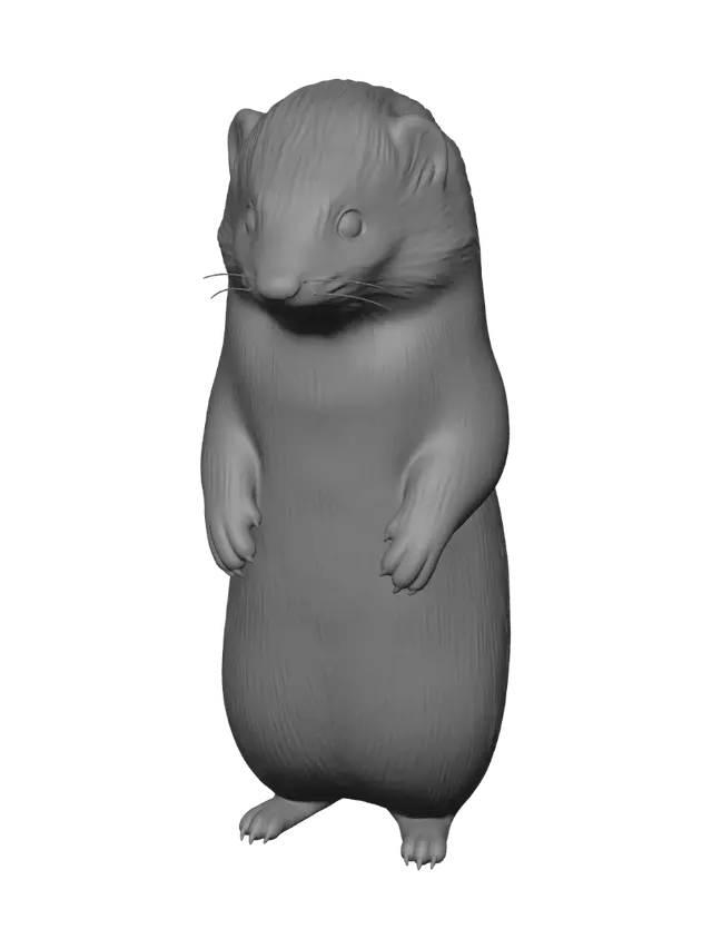 3D model for Snowy Ferret