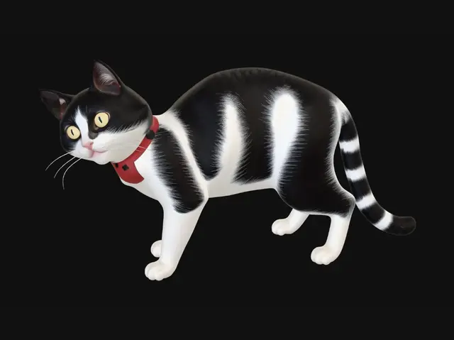 3D model for 턱시도 고양이