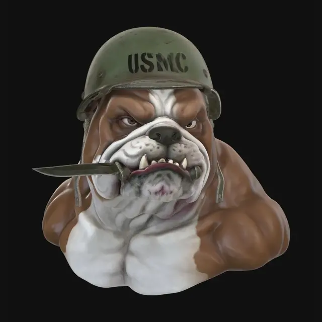 3D model for a bust of a brown and white-colored cartoon character English bulldog with huge muscles, and an olive green marine corp helmet that says USMC on the front of the helmet, and a knife between its teeth, while having a mean look on its face.