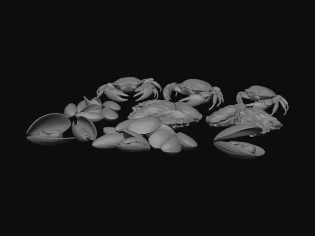 3D model for Shellfish Medley