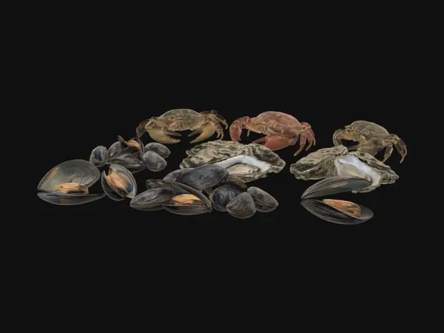 3D model for Shellfish Medley