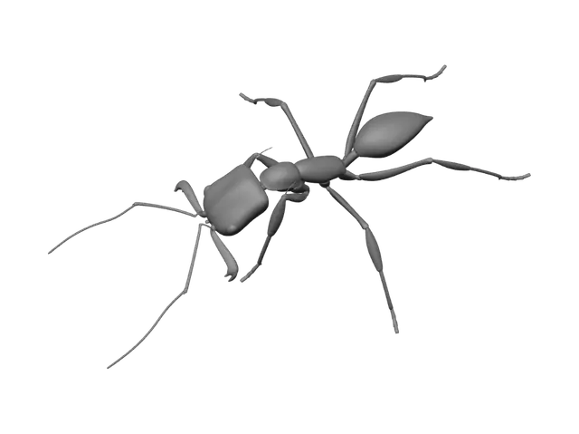 3D model for Ant on Brick