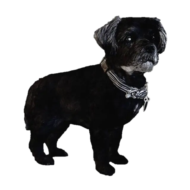 Dog with Bowtie - Mutt 3D model, vytvořený pomocí AI
