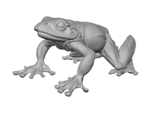 3D model for greentreefrog_cam10.jpg