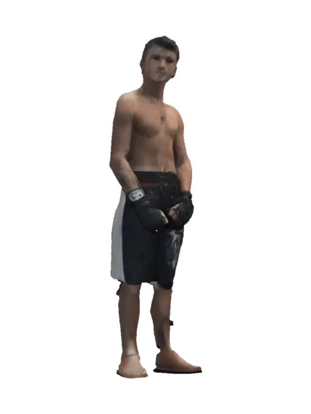 Boxing in the Suburbs 3D model, vytvořený pomocí AI