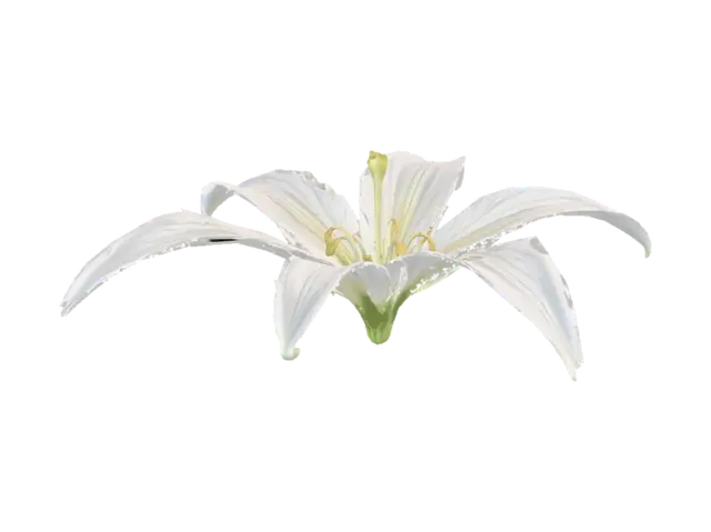 white lily - Stems 3D model, vytvořený pomocí AI