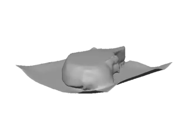 3D model for Pork Chop Presentation