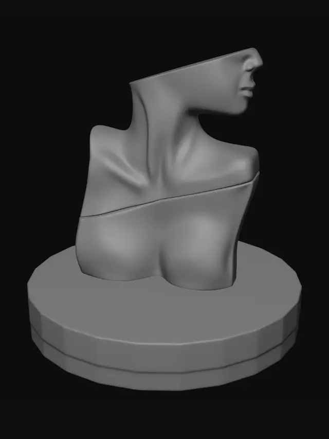 3D model for Fragmented Silhouette