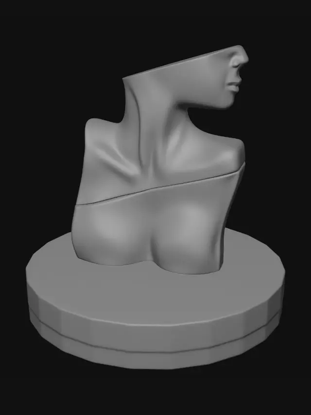 3D model for Fragmented Silhouette