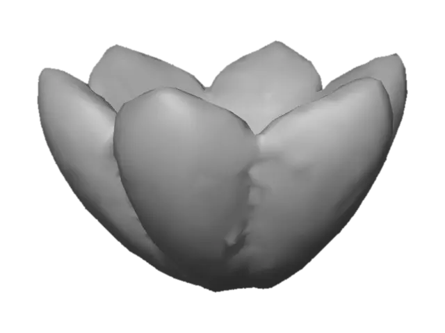 3D model for çiçek şeklinde bir galeta kraker oluştur. tek başına dursun