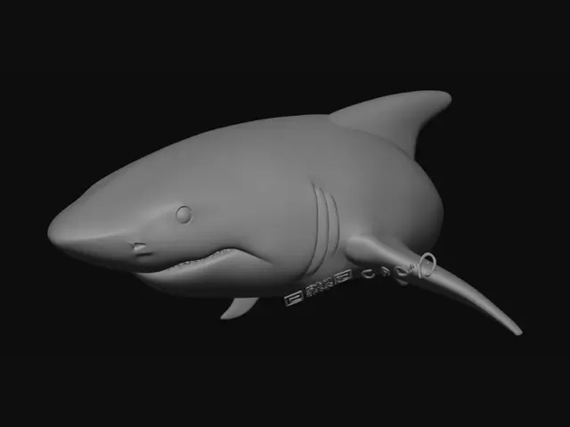 Free Shark 3D Models - Download Instantly | Meshy