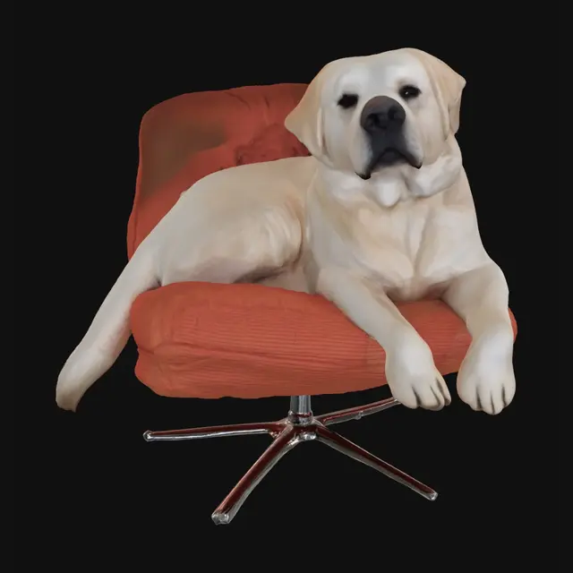 3D model for Office Labrador on an orange chair