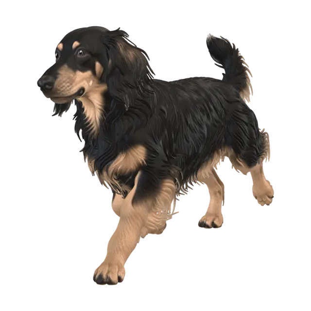 Dackel_007 - Determined 3D model, vytvořený pomocí AI