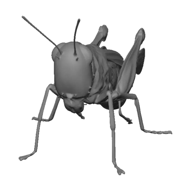 3D model for Camouflaged Moth on Green Fabric