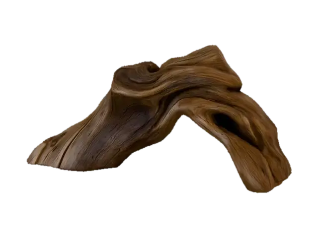 3D model for Driftwood Arch