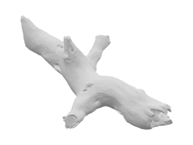 3D model for Driftwood Elegance
