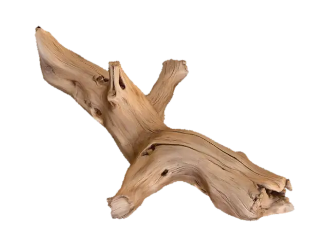 3D model for Driftwood Elegance