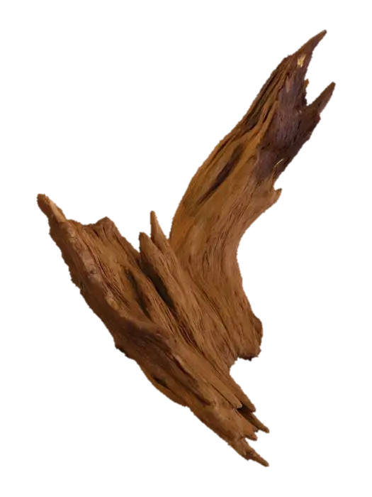 Driftwood Serenity - Seaside 3D model, vytvořený pomocí AI