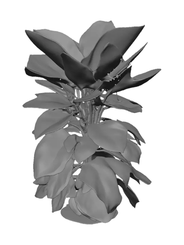 3D model for eine grüne zimmerpflanze die groß ist mit vielen blättern