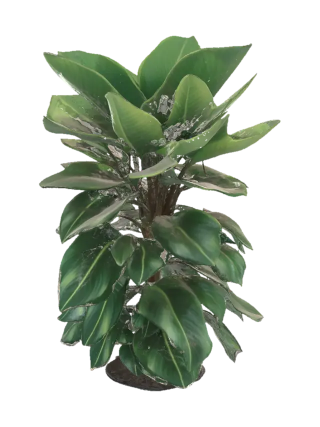 3D model for eine grüne zimmerpflanze die groß ist mit vielen blättern