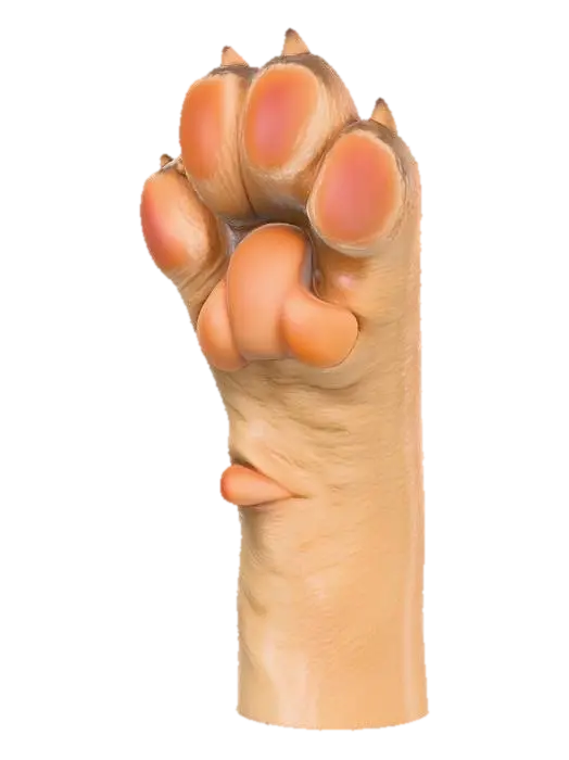 Cat Paw High-Five - Highfive-3D-modell, genererad av AI