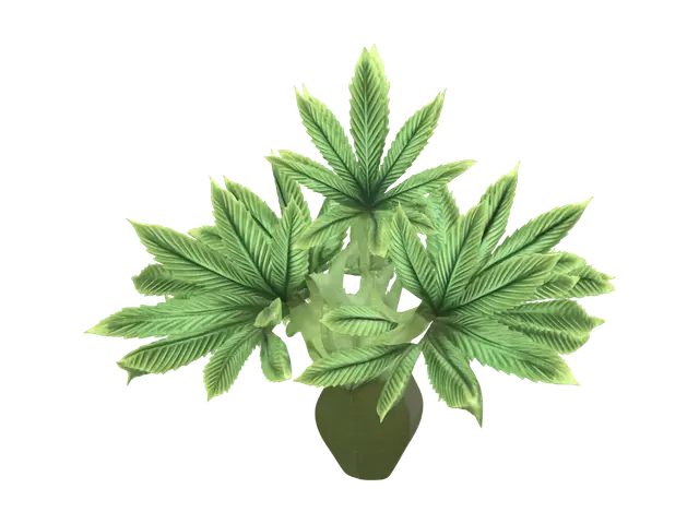 3D model for Cannabis Leaf Cluster