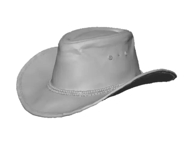 3D model for Cowboy Hat Display