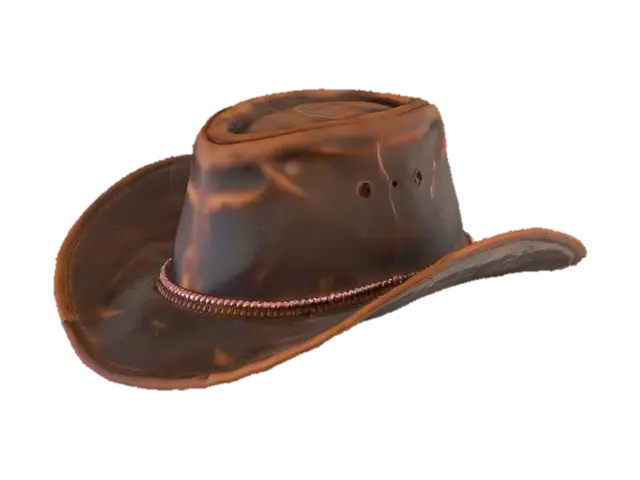 3D model for Cowboy Hat Display