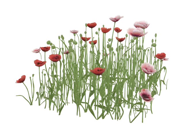 Tall realistic opium poppy plants for Afghanistan field, 2009, multiple variations with… 3D model, AI generated