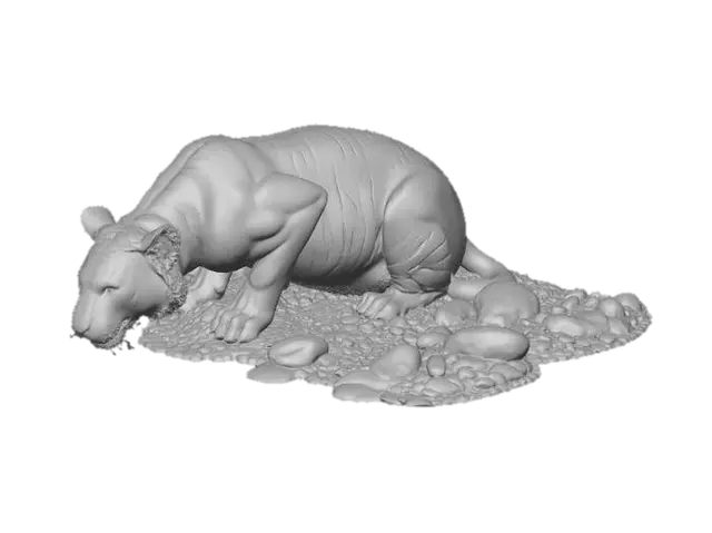 3D model for Tiger Drinking at the Riverbank