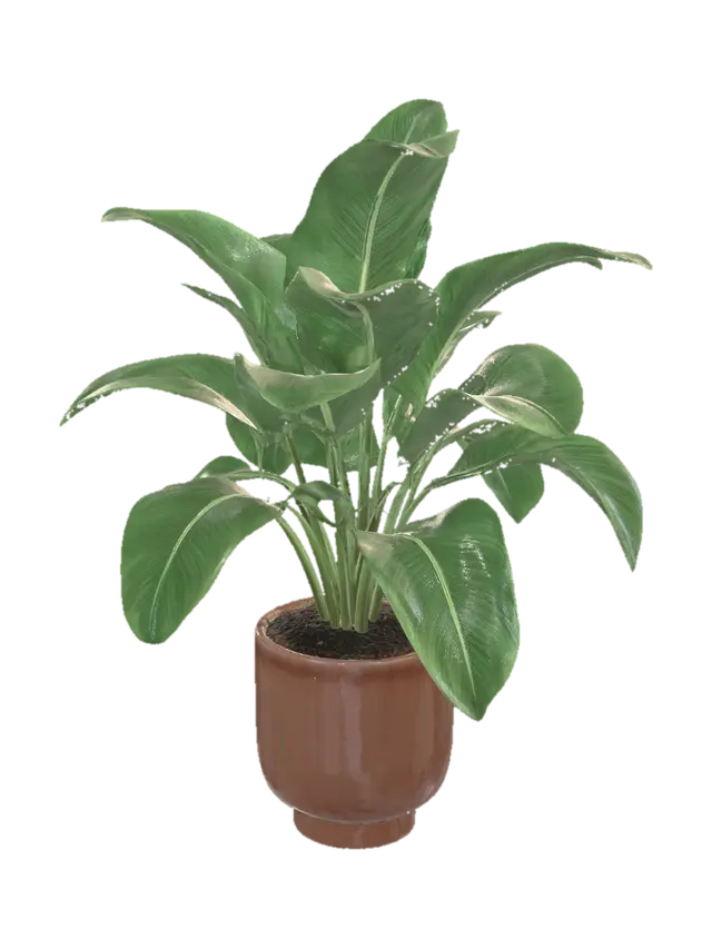Big office Plant 3D model, vytvořený pomocí AI
