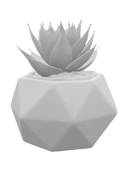 3D model for beautiful desert succulent plant contained in a geometric pot filled with sand and small pebbles