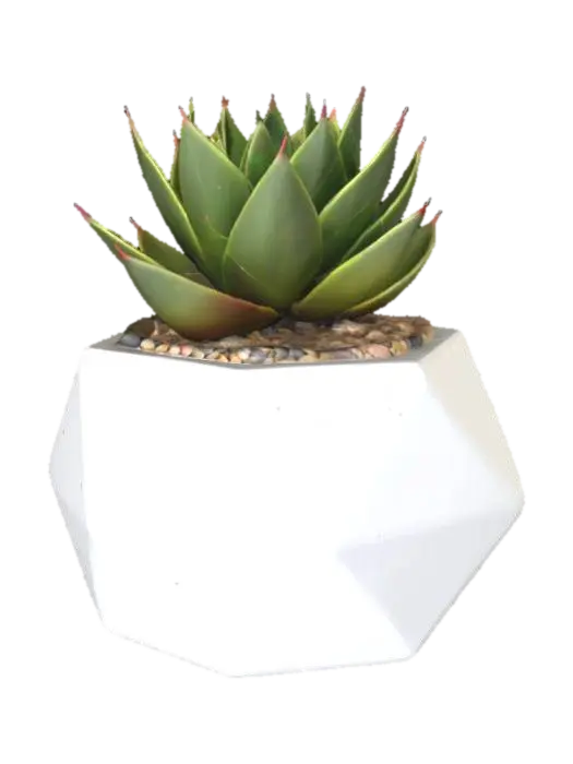 3D model for beautiful desert succulent plant contained in a geometric pot filled with sand and small pebbles