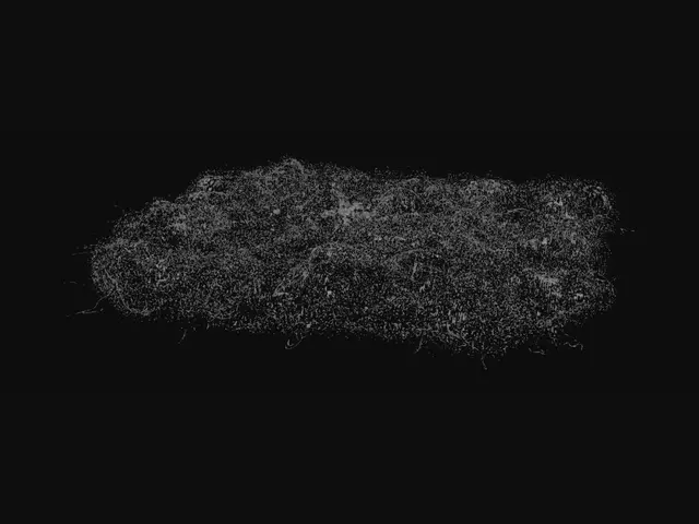 3D model for Patchy Grass Field