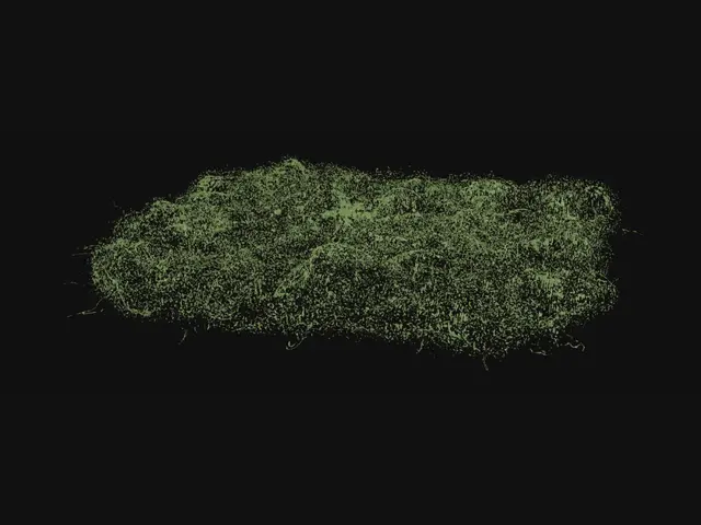 3D model for Patchy Grass Field