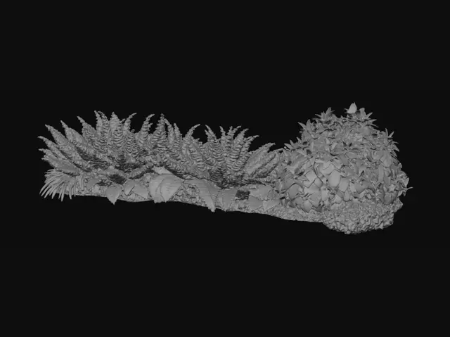 3D model for Fern and Boxwood Hedge